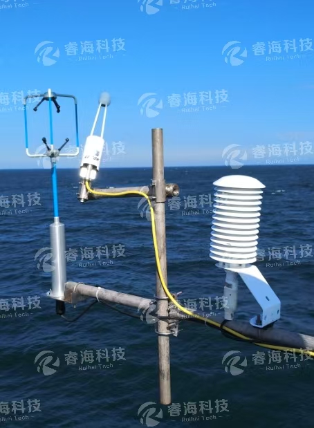 微信圖片_20250225172311 微信圖片_20250225172311